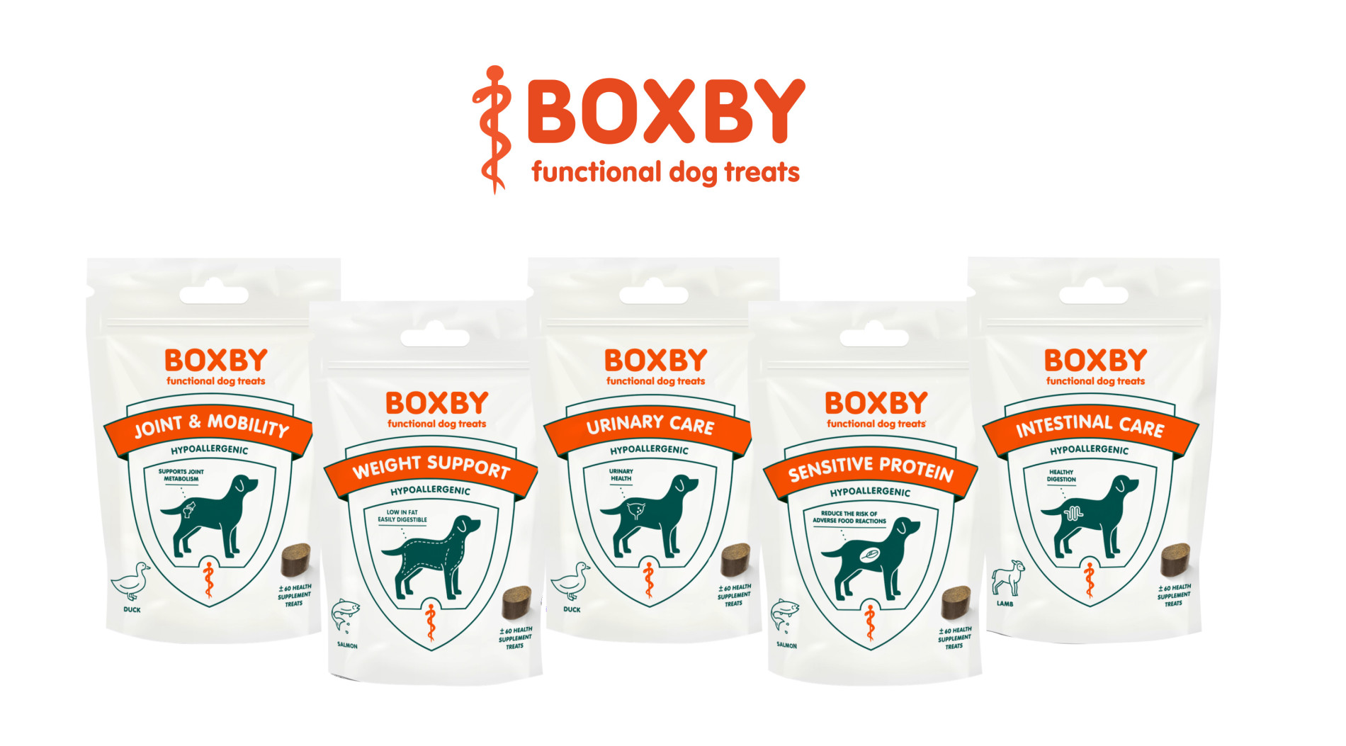 Funkcjonalne smaczki dla psa od BOXBY - smak i zdrowie w jednym